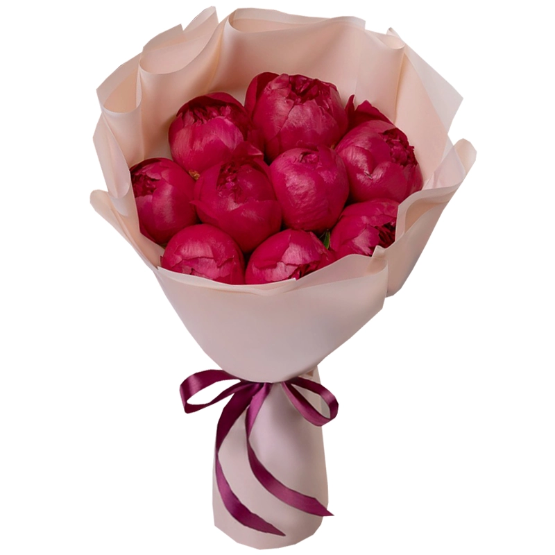 Букет из 9 бордовых пионов